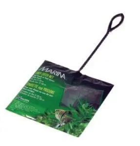 Marina Mincioc Negru 25 cm