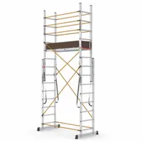 Tele PL Scara si schela din aluminiu PL003