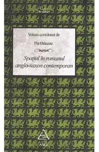 Spatiul in romanul anglo-saxon contemporan
