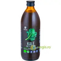 Suc de Kale Ecologic/Bio 500ml