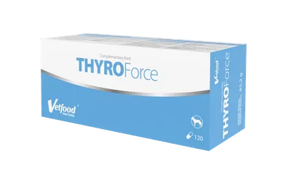 VetFood ThyroForce, 120 capsule