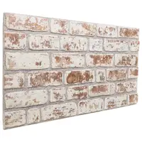 vidaXL Panouri de perete 10 buc. 100 x 50 cm Roșu și Alb Spumă EPS