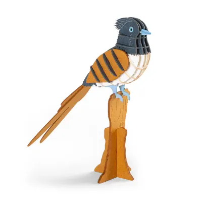 Puzzle 3D - Paradise Flycatcher
