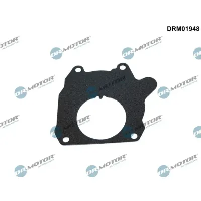 Garnitura, pompa vacuum Dr.Motor Automotive DRM01948