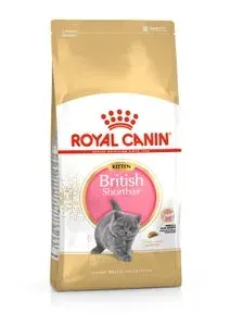 Hrana uscata pentru pisici Royal Canin British Shorthair Kitten 10 kg