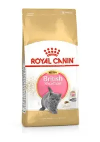 Hrana uscata pentru pisici Royal Canin British Shorthair Kitten 10 kg