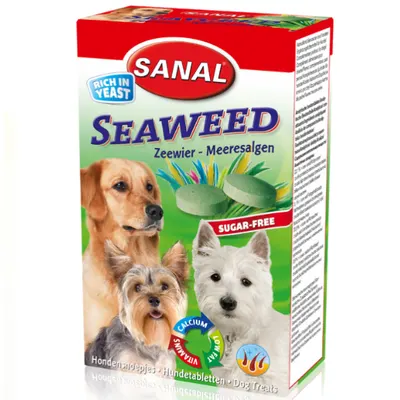 Sanal Vitamine Seaweed 100 tab