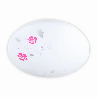 Plafoniera Rose 48LED 24W 6500K