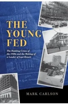 The Young Fed: The Banking Crises of the 1920s and the Making of a Lender of Last Resort