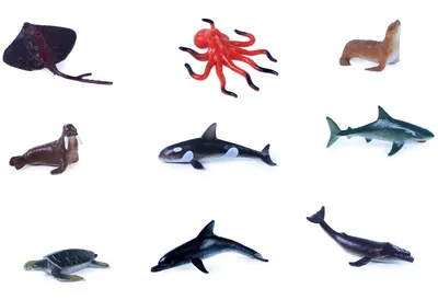 Set de figurine Rappa - Animale marine, 9 buc. , 5-8 cm