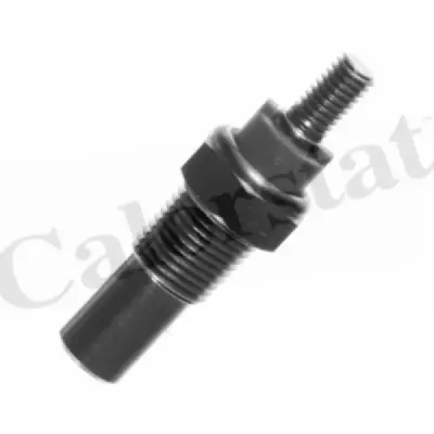 Senzor temperatura lichid racire CALORSTAT by Vernet WS2545