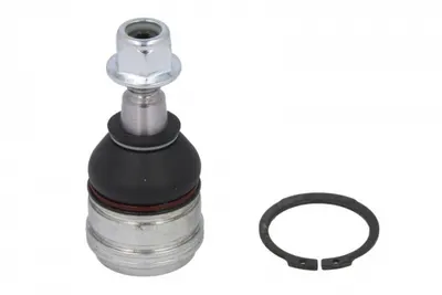 Pivot axa Dreapta Stanga (fata) (diametru con 14,6mm) potrivit MITSUBISHI COLT VI; SMART FORFOUR 1.1-1.5D 01.04-06.12