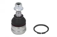 Pivot axa Dreapta Stanga (fata) (diametru con 14,6mm) potrivit MITSUBISHI COLT VI; SMART FORFOUR 1.1-1.5D 01.04-06.12