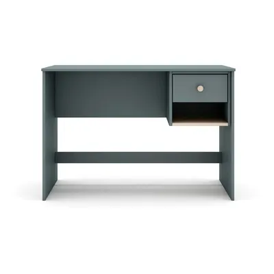 Birou de copii 55x110 cm Esteban – Marckeric