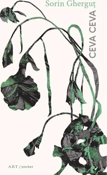 Ceva ceva - Paperback brosat