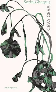 Ceva ceva - Paperback brosat