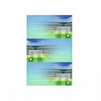 Etichete scolare, set 3x3 coli, motiv Stadion