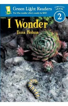 I Wonder