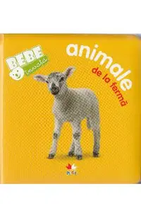 Bebe invata