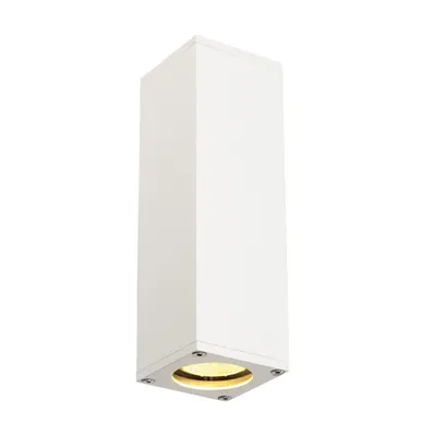 Corp iluminat de perete, aplica, THEO SUS / JOS de perete lumini GU10, QPAR51 alb, lumina de perete, alb, max. 2x50 W