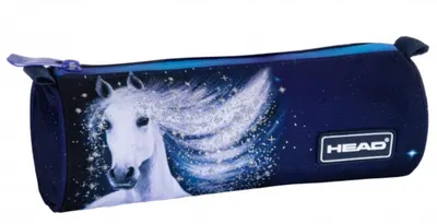 Penar etui neechipat - Galactic Unicorn