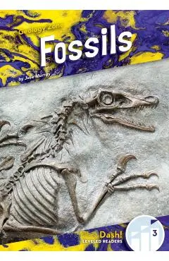Fossils