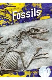 Fossils