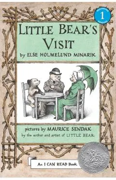 Little Bear's Visit