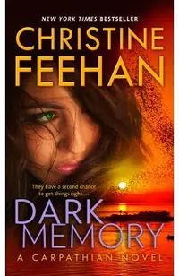 Dark Memory