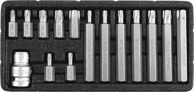 Set Biti Torx 15 Piese T20-T55