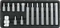 Set Biti Torx 15 Piese T20-T55