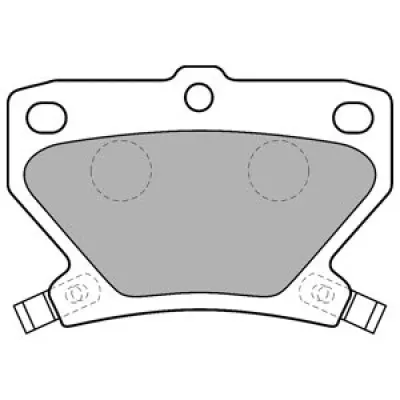 Set placute frana, frana disc DELPHI LP1513
