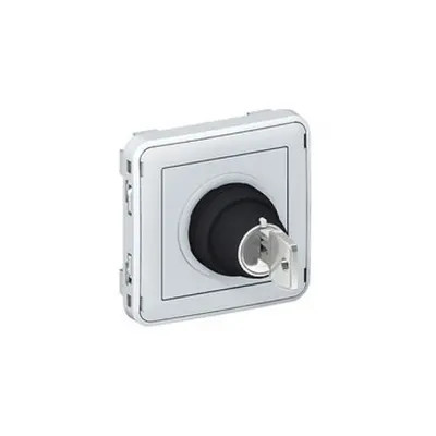 Key operated switch Plexo IP55-3 A-250 V~- 3 positions ''I-O-II''-modular-gri