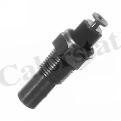 Senzor temperatura lichid racire CALORSTAT by Vernet WS2519
