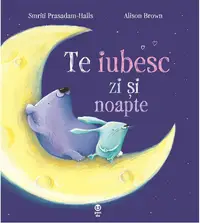 Te iubesc zi si noapte