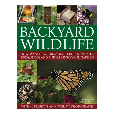 Backyard Wildlife