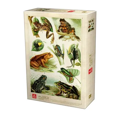 Puzzle 1000 Piese pentru Adulti, Deico, Enciclopedia, Broaste