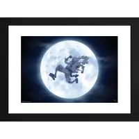 Poster cu Rama One Piece - Nika (30x40)