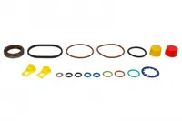 Set garnituri, pompa injectie BOSCH CP4S1 R30 20-S (potrivit 0 445 010 516; 0 445 010 552; 0 986 437 430)