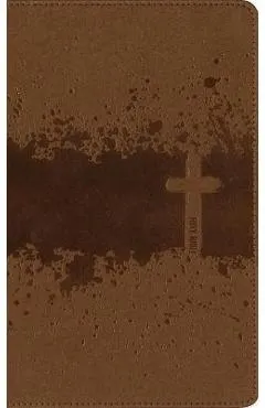 Niv, Kids' Visual Study Bible, Leathersoft, Bronze, Full Color Interior, Peel/Stick Bible Tabs: Explore the Story of the Bible---People, Places, and H