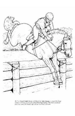 Big Book of Horses to Color