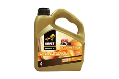 Ulei Kross Exeo Ford 5W-30- 4L A5 B5 4L
