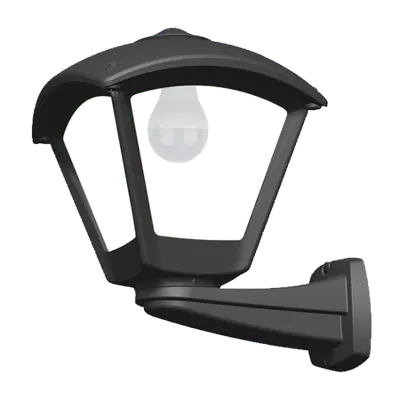 Dario 250 Garden Wall Lamp 1xe27 Ip55 Black/clear