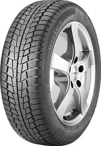 Viking WinTech ( 195/65 R15 91T EVc )
