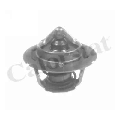 Termostat, lichid racire CALORSTAT by Vernet TH6843.91J