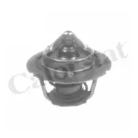 Termostat, lichid racire CALORSTAT by Vernet TH6843.91J