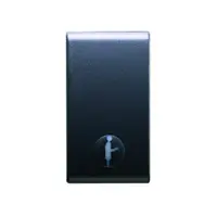 INTERCHANGEABLE Intrerupator cu revenire - 25x45mm - 1 modul - 'PORTER' - PLAYBUS