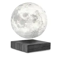 Decorațiune luminoasă neagră cu alimentare la priză ø 12 cm Moon – Gingko