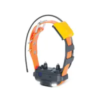 Extra Zgarda Pentru DOGTRA PATHFINDER 2 MINI - Portocaliu