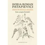 Zbor in bataia sagetii. Eseu asupra formarii